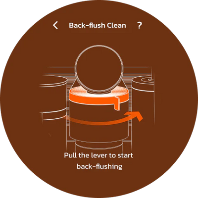 Automatic cleaning by internal rinsing